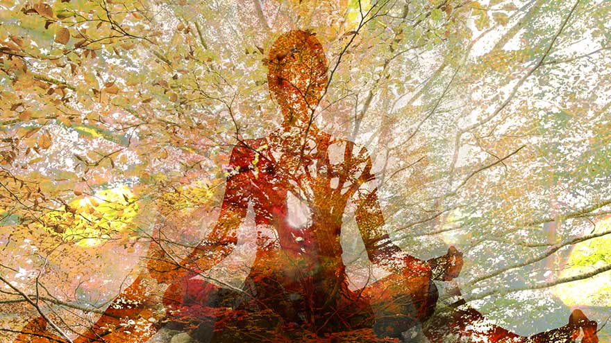 Karma Yoga