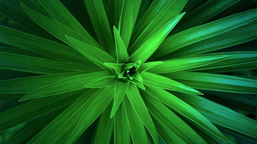 Articles Energétique et Environnement