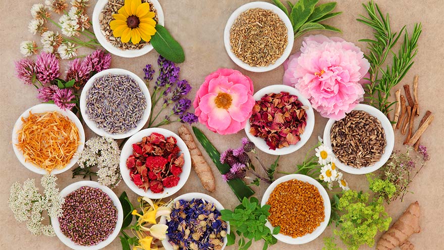 Articles Thérapies naturelles