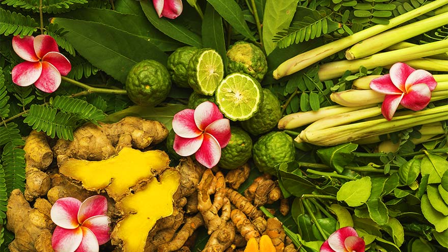 Articles Médecines du monde