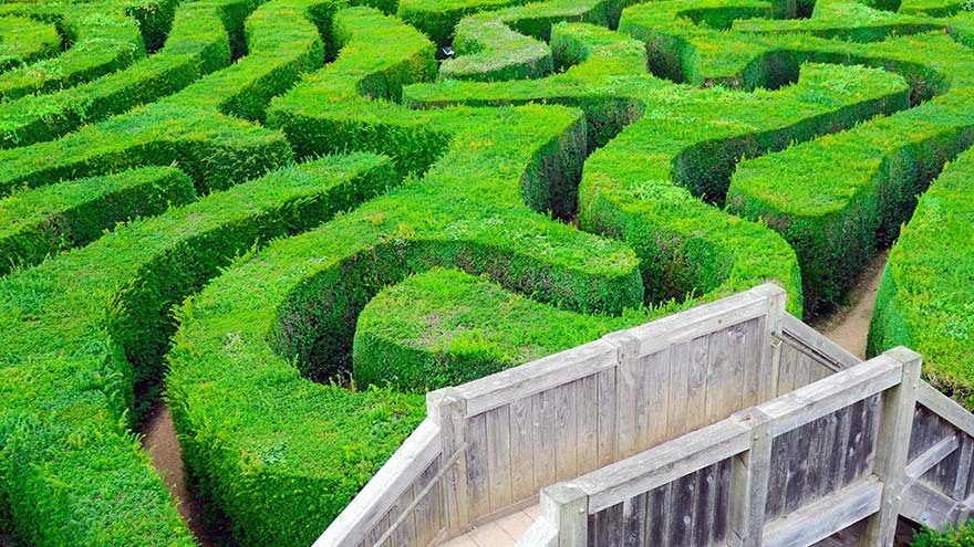 Articles Développement de conscience